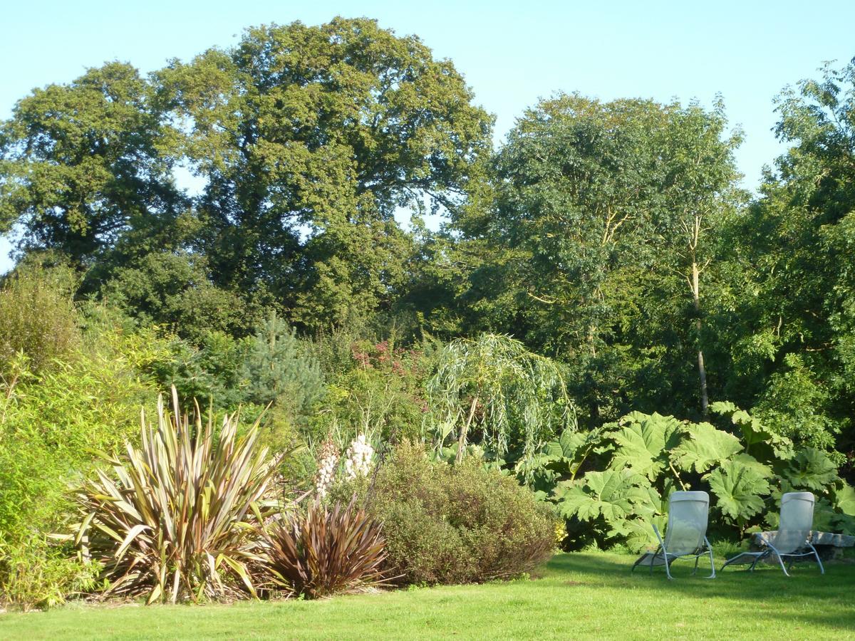 Manoir De Savigny Bed and Breakfast Valognes Εξωτερικό φωτογραφία